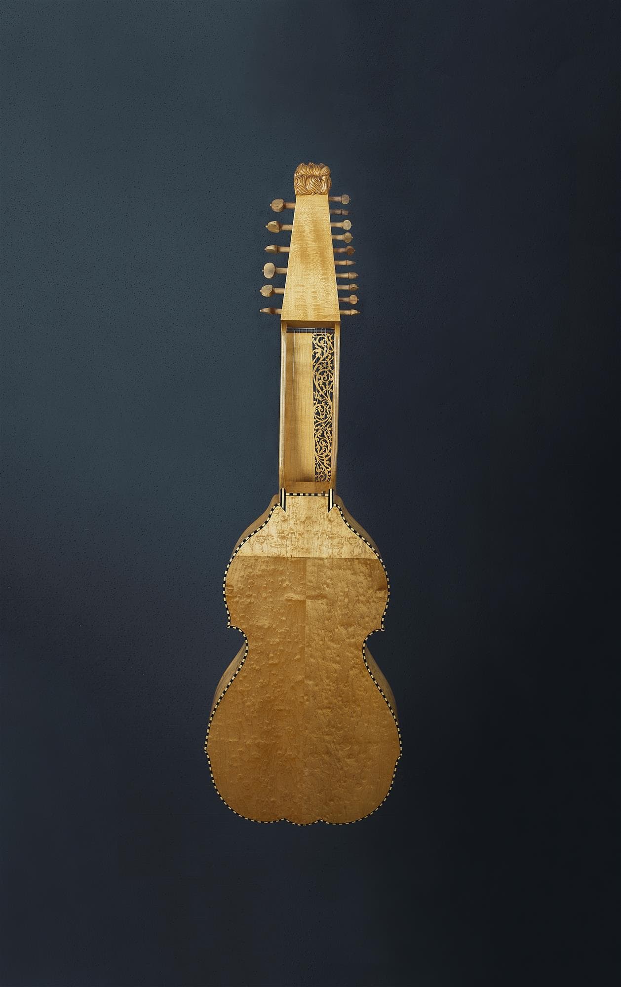 The back of the baryton's neck, showing all ten sympathetic strings and their tuning pegs.
